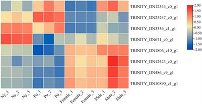 Transcriptome analysis of megalurothrips usitatus (Bagnall) identifies olfactory genes with ligands binding characteristics of MusiOBP1 and MusiCSP1